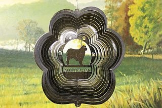 71251-Australian-BlackStarlight