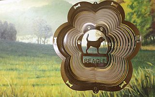 71655-Beagle-CopperStarlight