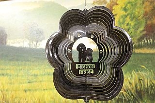 72351-BichonFrise-BlackStarlight