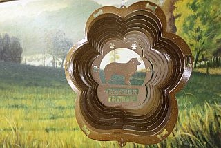 72755-BorderCollie-CopperStarlight