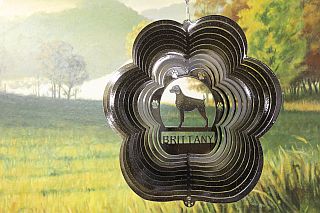 73451-Brittany-BlackStarlight