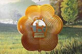 74405-ChineseCrested-Copper