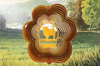 78605-Keeshond-Copper