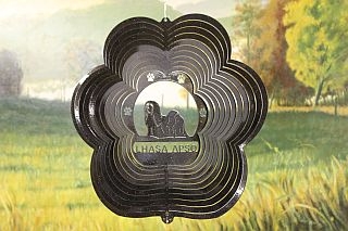 79251-LhasaApso-BlackStarlight