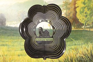 79251-LhasaApso-BlackStarlight