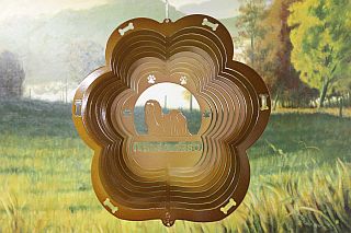 79255-LhasaApso-CopperStarlight