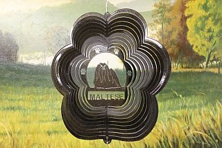 79451-Maltese-BlackStarlight