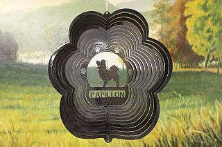 79851-Papillon-BlackStarlight