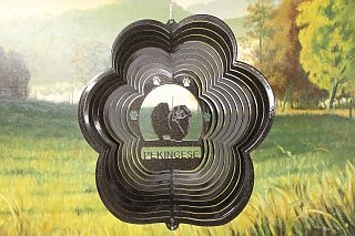 80851-Pekingese-BlackStarlight