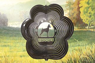 81051-Pinscher-BlackStarlight