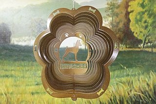 81055-Pinscher-CopperStarlight