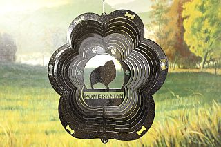81751-Pomeranian-BlackStarlight
