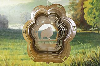 81755-Pomeranian-CopperStarlight