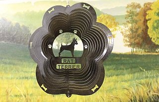 82351-RatTerrier-BlackStarlight
