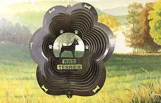 82351-RatTerrier-BlackStarlight