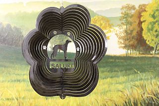 82551-Saluki-BlackStarlight