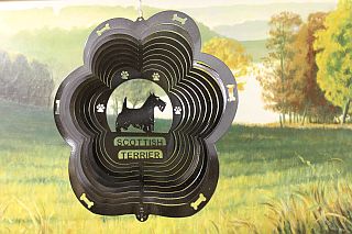 82951-ScottishTerrier-BlackStarlight