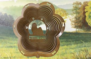 83455-ShihTzu-CopperStarlight