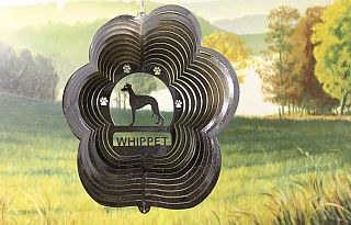 85451-Whippet-BlackStarlight